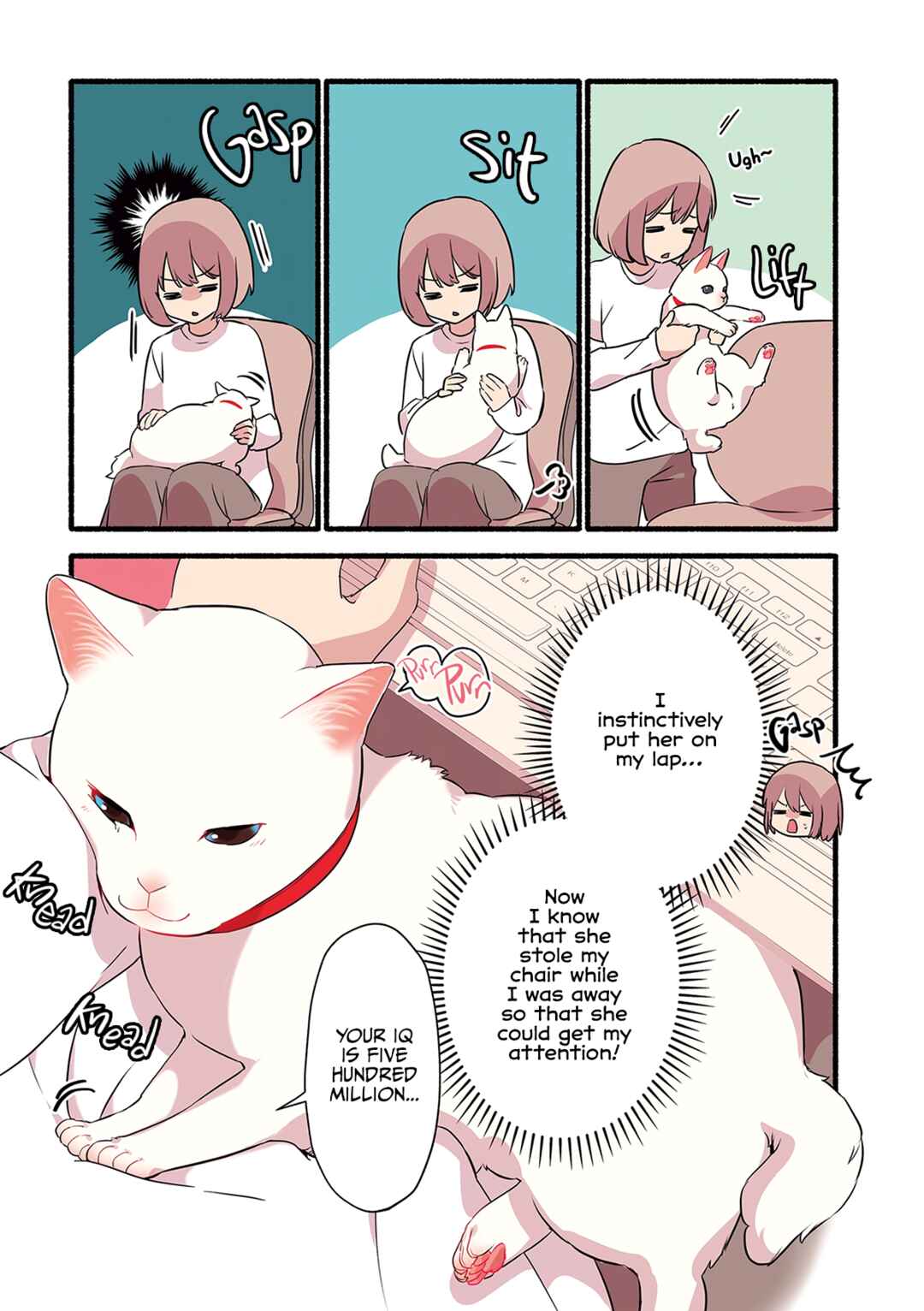 Aisaretagari no Shironeko Miko-san Chapter 1.3 - Page 3