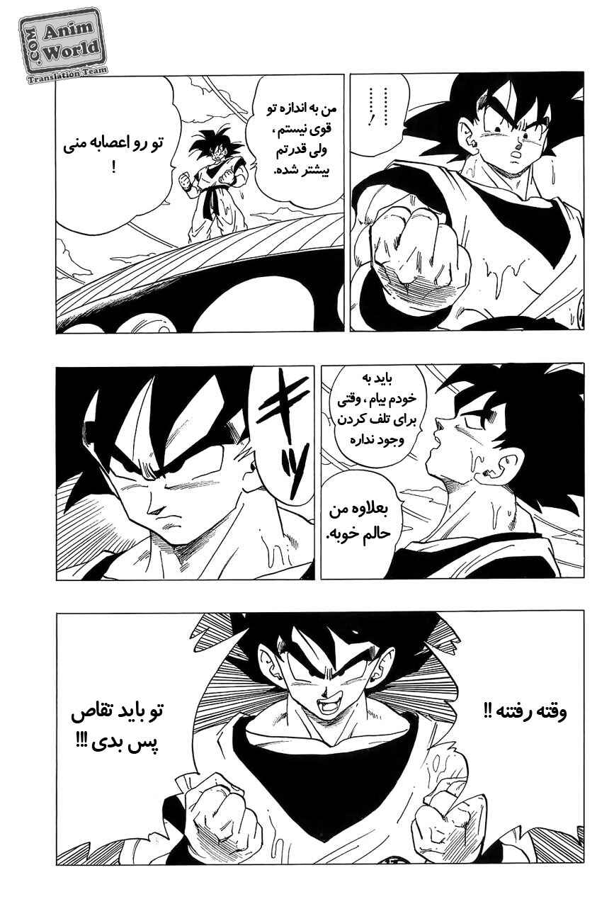 Dragon Ball Chapter 306 - Page 13