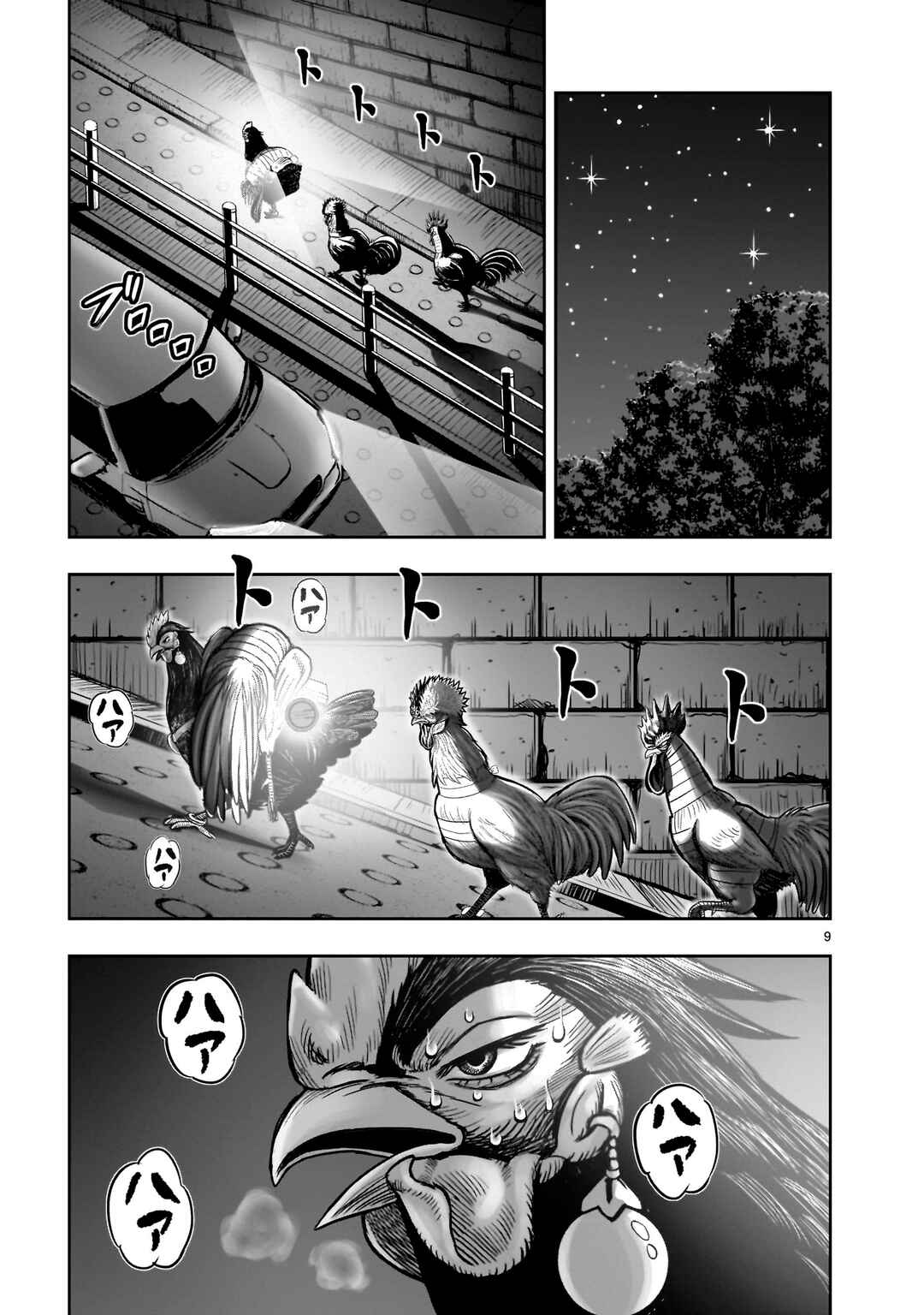 Niwatori Fighter Chapter 35 - Page 11