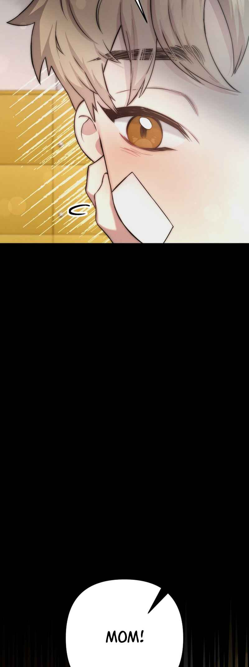 Yeongi Cheonjae, TOP Idol! Chapter 45 - Page 13