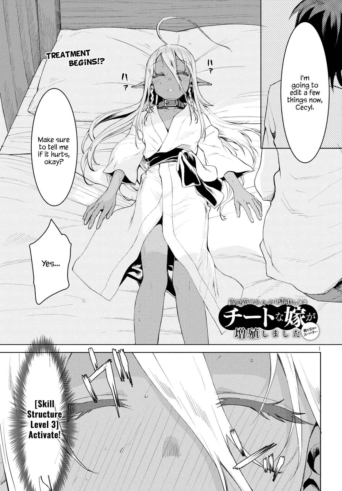 Isekai de Skill wo Kaitai Shitara Cheat na Yome ga Zoushoku Shimashita - Gainen Kousa no Structure Chapter 27 - Page 1