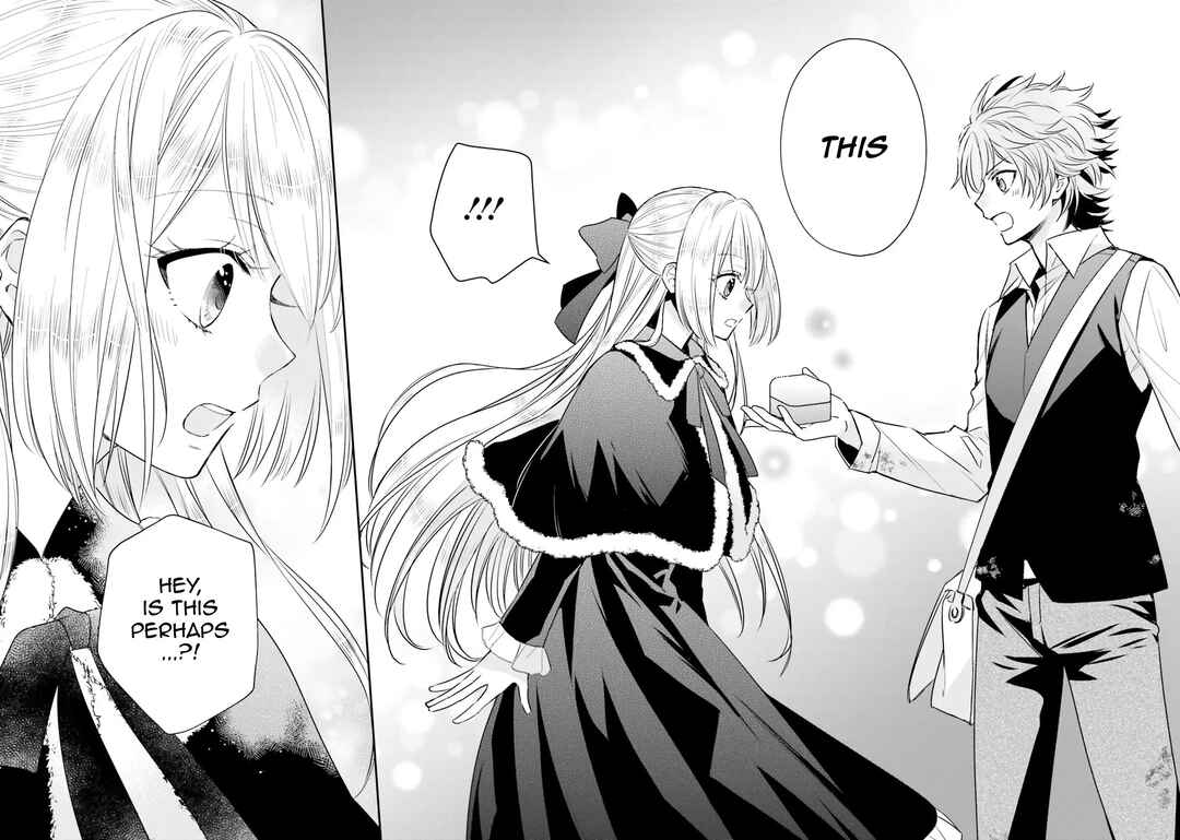 Akuyaku Reijou no Taida na Tameiki Chapter 5 - Page 28