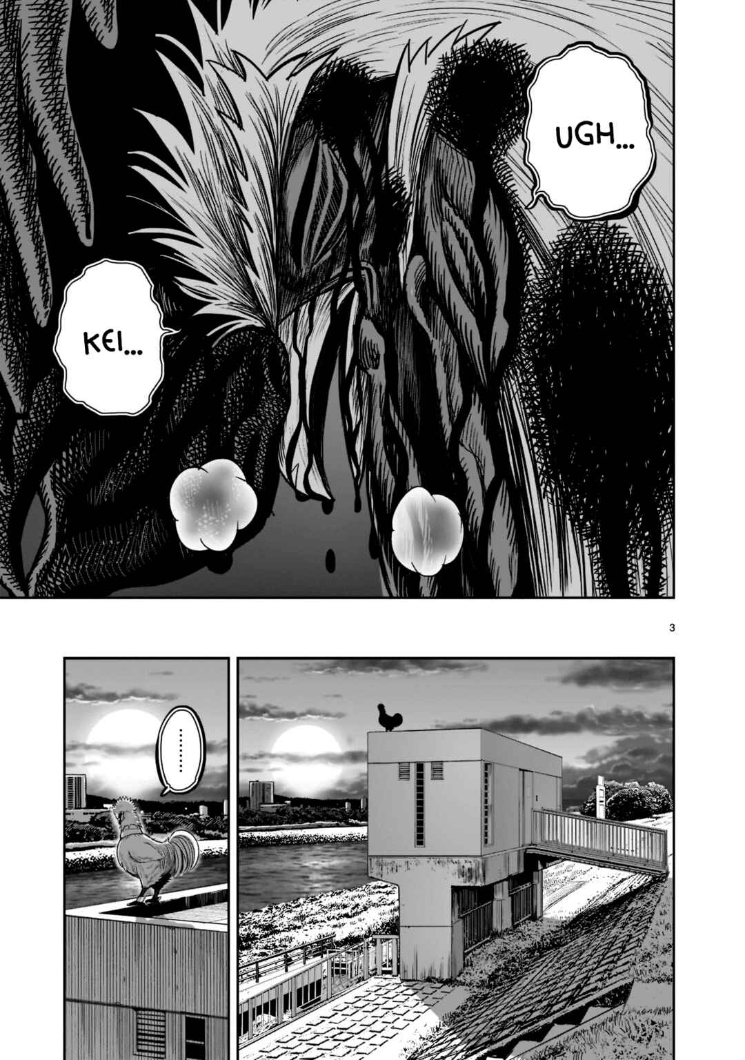 Niwatori Fighter Chapter 20 - Page 5