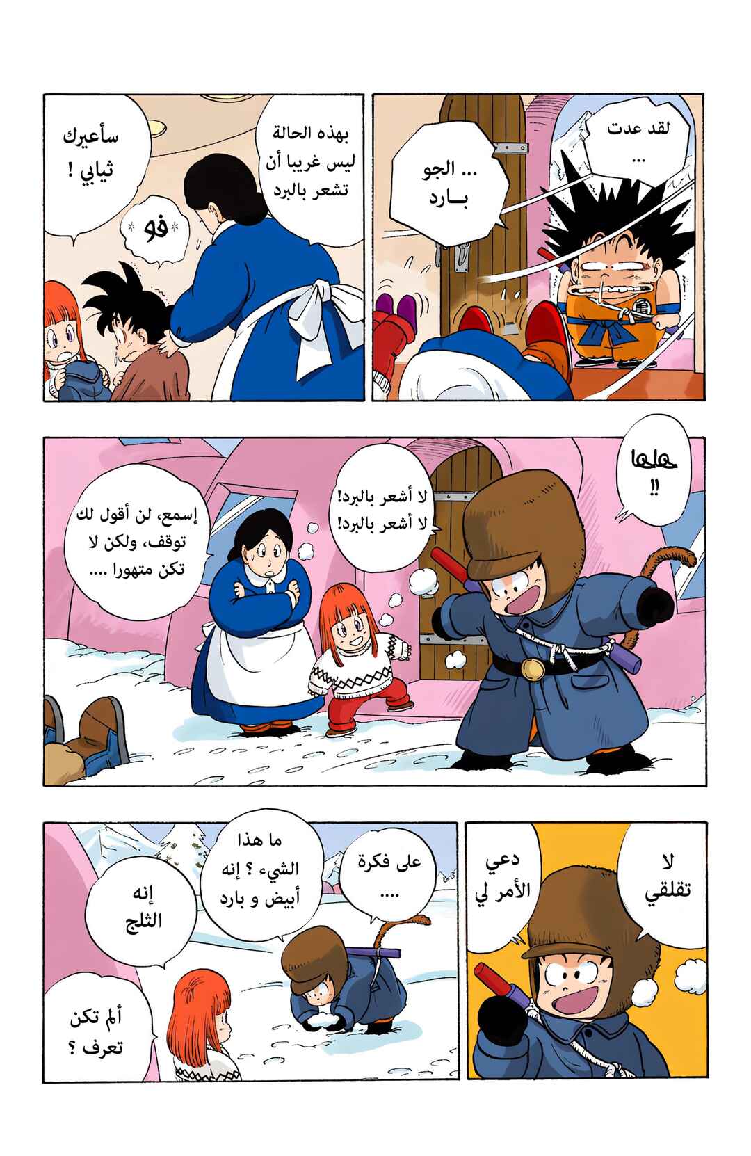 Dragon Ball (Official Colored) Chapter 57 - Page 10