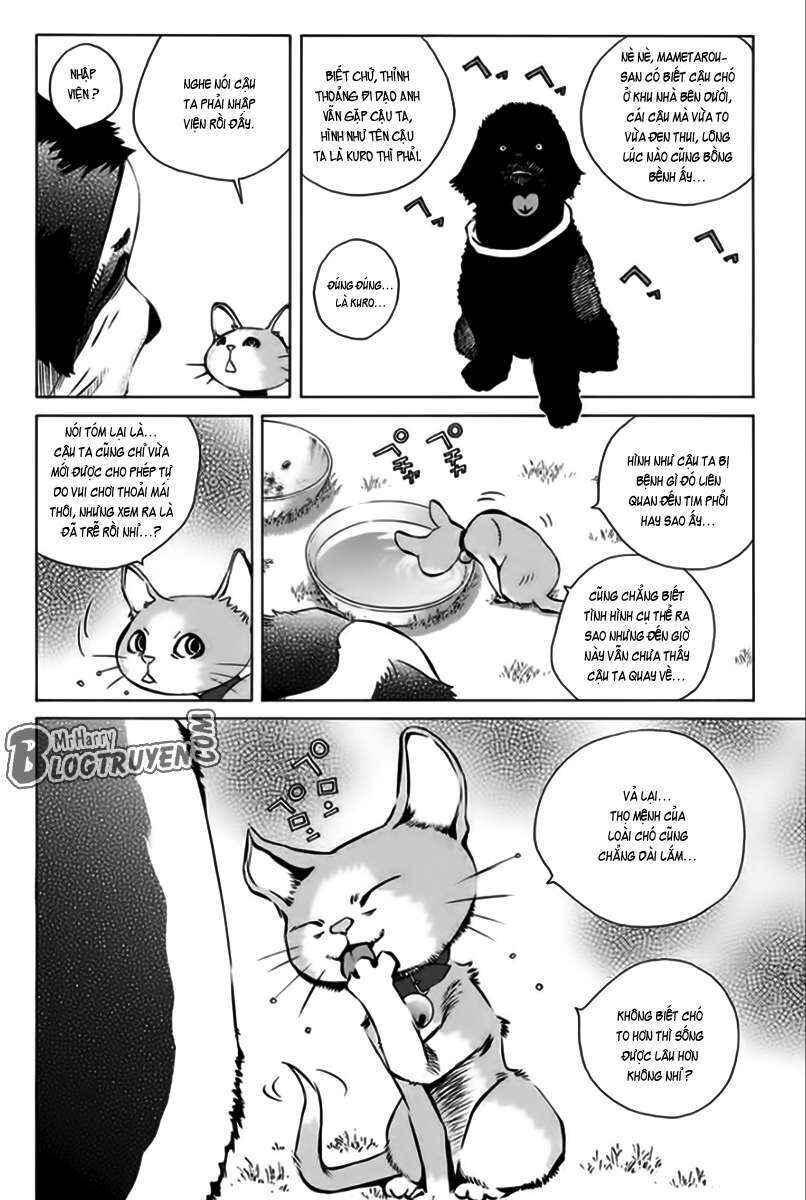 Pastel Chapter 166 - Page 7