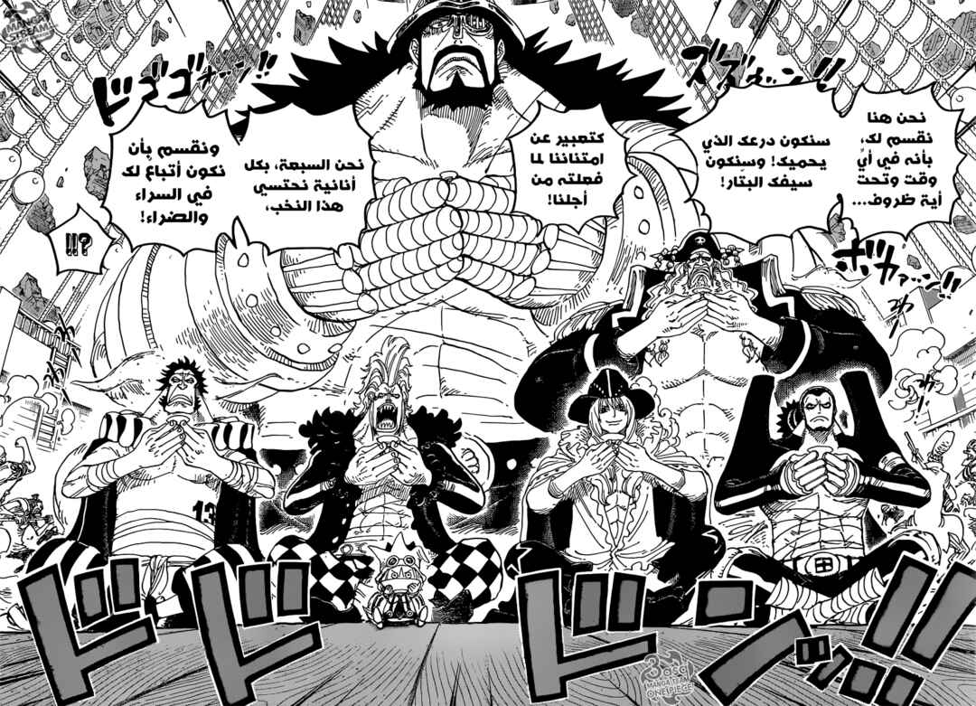 One Piece Chapter 800 - Page 9