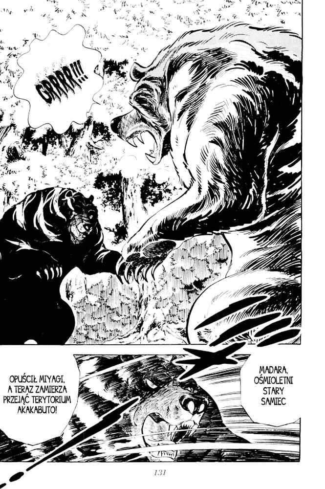 Silver Fang – The Shooting Star Gin – Chapter 9 - Page 14