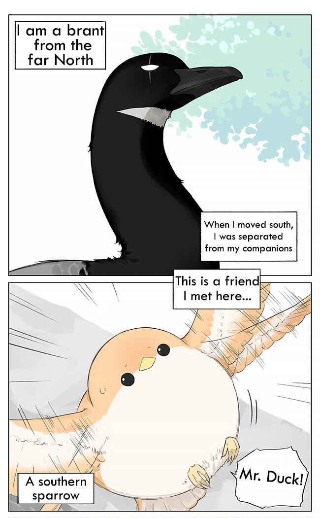 Southern Bird and Northern Bird Chapter 5 - Page 1