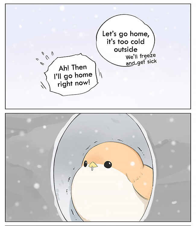 Southern Bird and Northern Bird Chapter 5 - Page 4