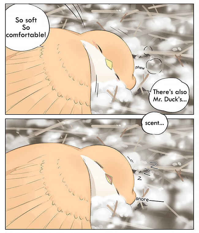 Southern Bird and Northern Bird Chapter 5 - Page 7