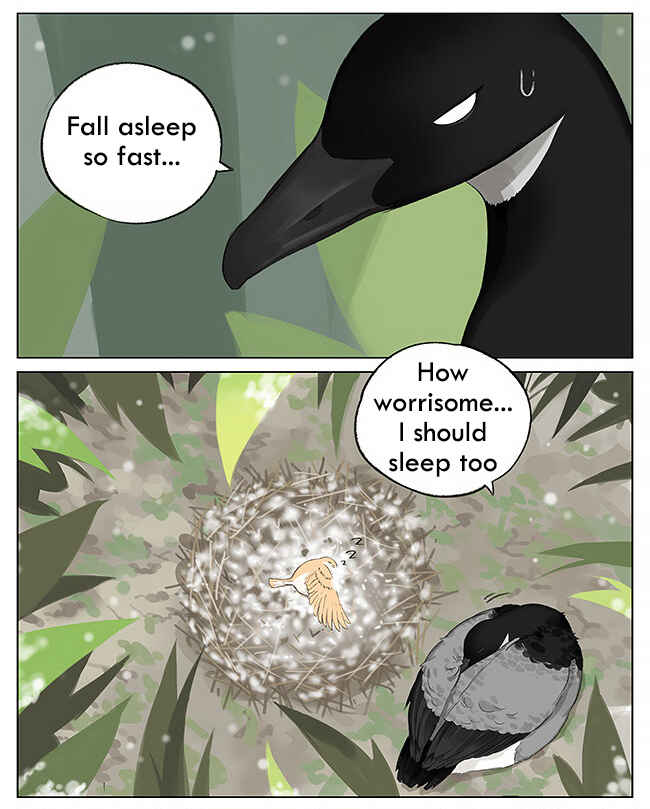 Southern Bird and Northern Bird Chapter 5 - Page 8