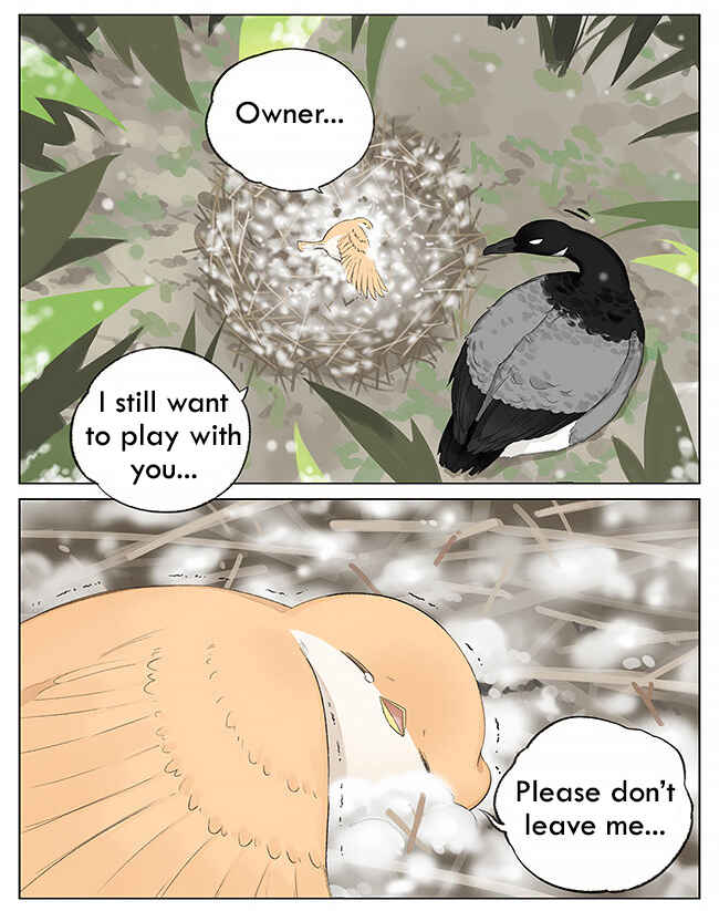 Southern Bird and Northern Bird Chapter 5 - Page 9