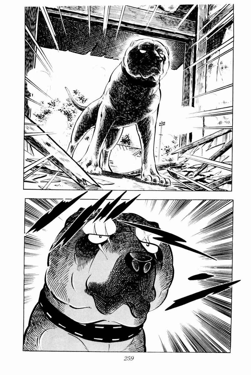 Silver Fang – The Shooting Star Gin – Chapter 30 - Page 15