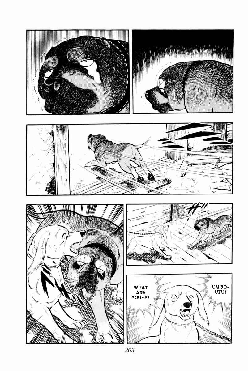 Silver Fang – The Shooting Star Gin – Chapter 30 - Page 19
