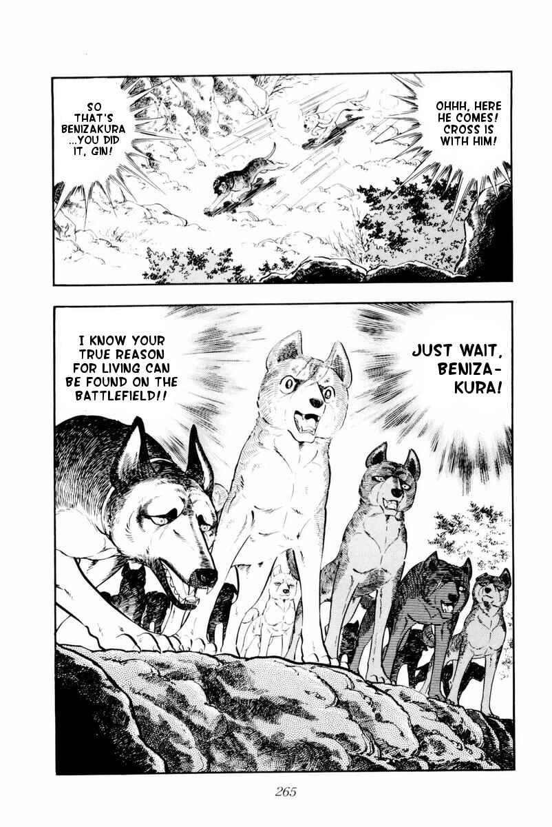 Silver Fang – The Shooting Star Gin – Chapter 30 - Page 21