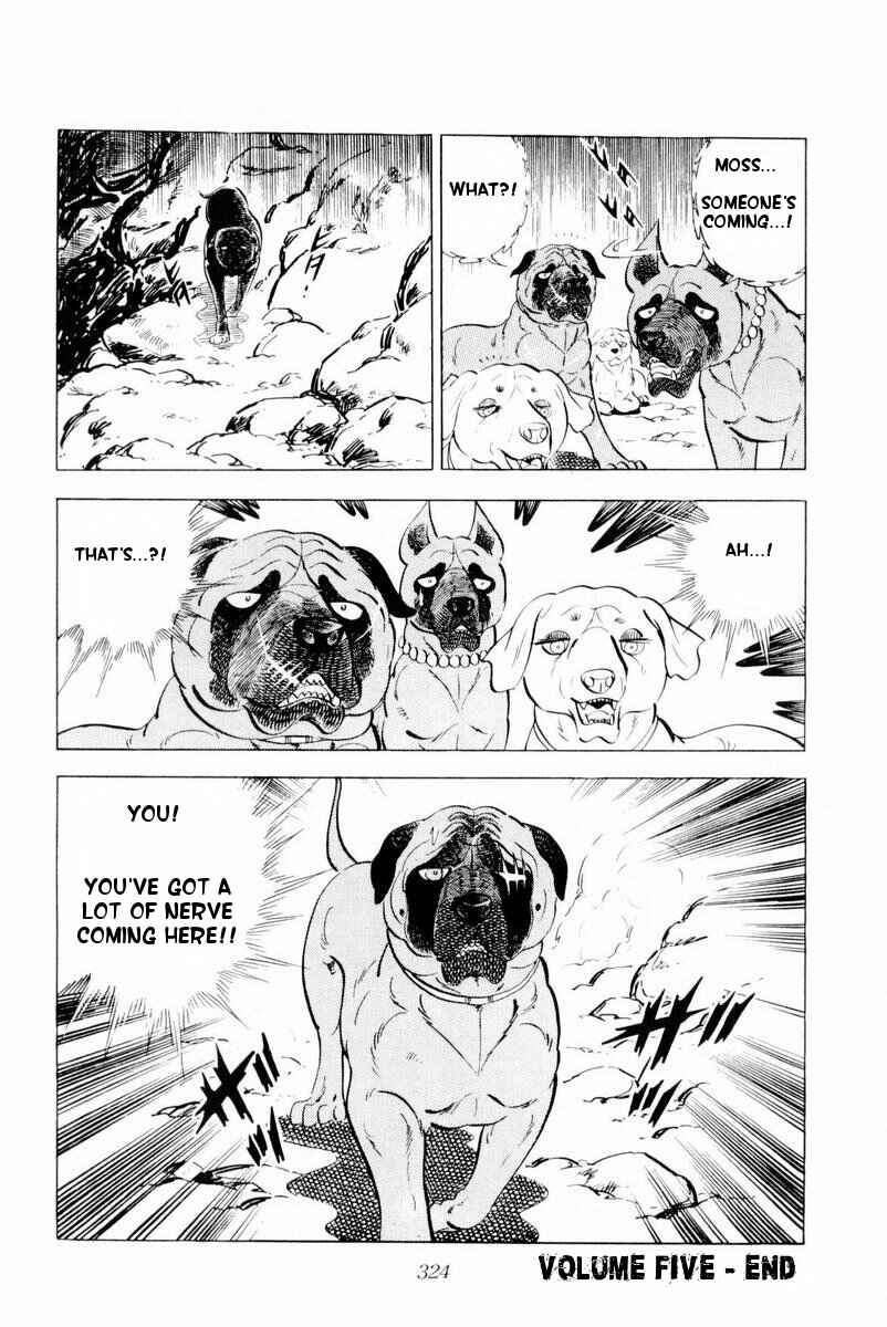Silver Fang – The Shooting Star Gin – Chapter 30 - Page 78