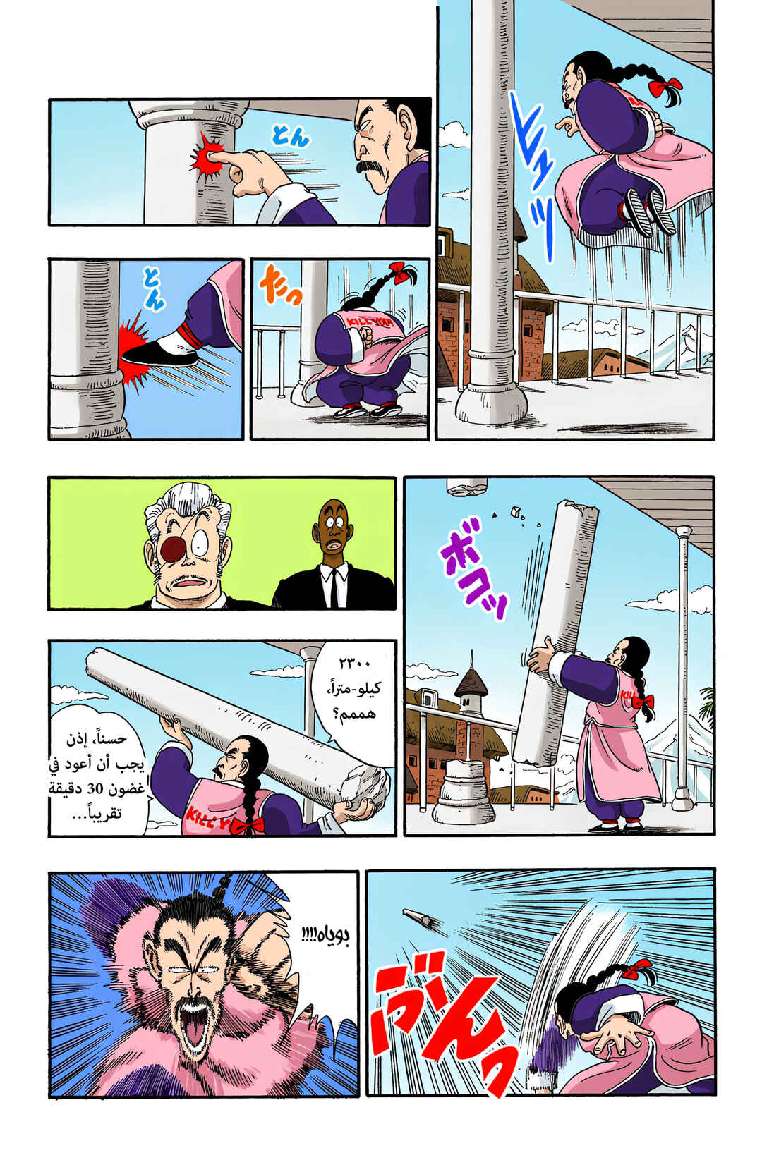 Dragon Ball (Official Colored) Chapter 85 - Page 13