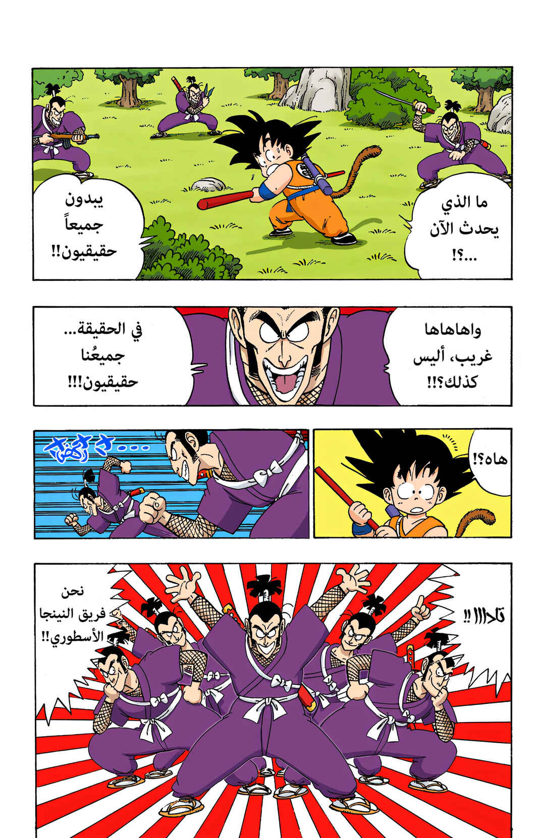 Dragon Ball (Official Colored) Chapter 62 - Page 10
