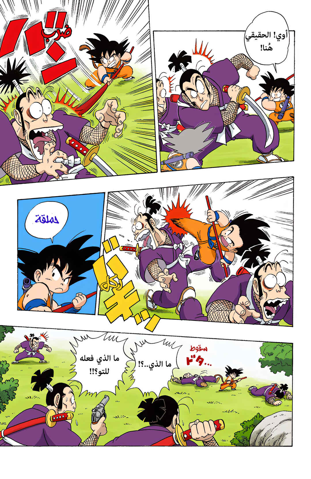 Dragon Ball (Official Colored) Chapter 62 - Page 13