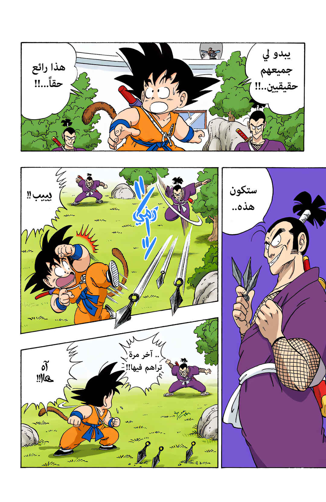 Dragon Ball (Official Colored) Chapter 62 - Page 8