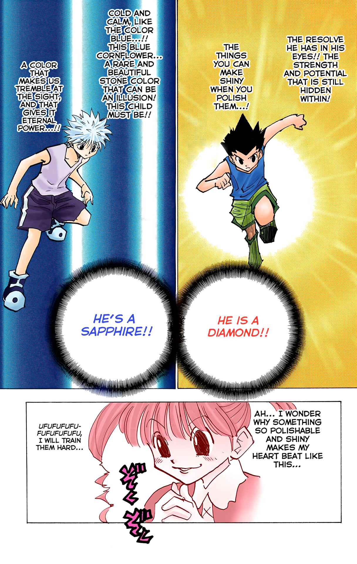Hunter x Hunter (Official Colored) Chapter 139 - Page 5