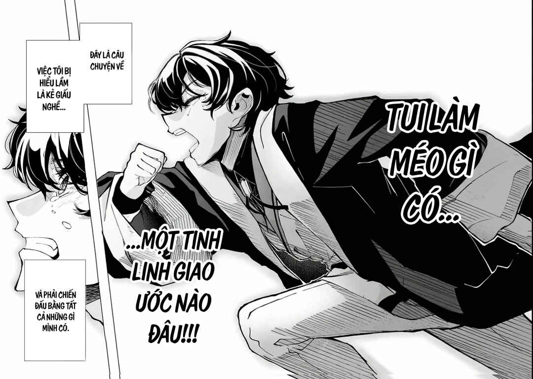 Shin no Jitsuryoku wo Kakushiteiru to Omowareteru Seireishi, Jitsuwa Itsumo Meccha Honki de Tatakattemasu Chapter 1 - Page 25