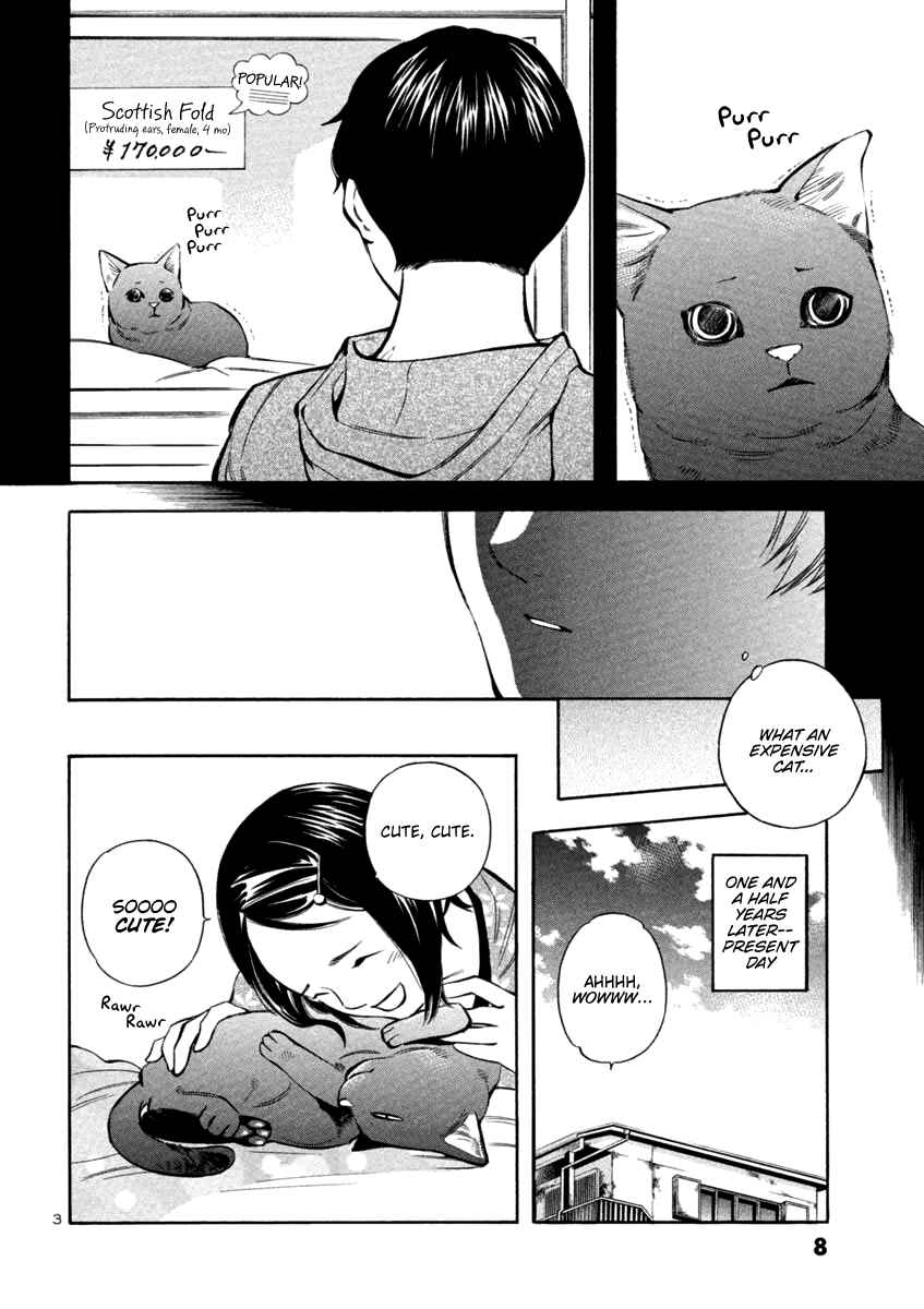 Kurosagi: The Black Swindler Chapter 131 - Page 7