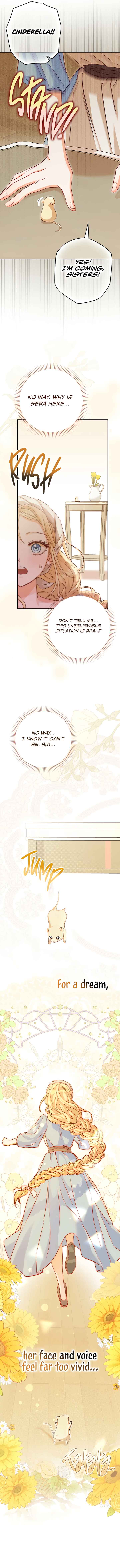 Cinderella's Pocket-Sized Protector Chapter 1 - Page 13