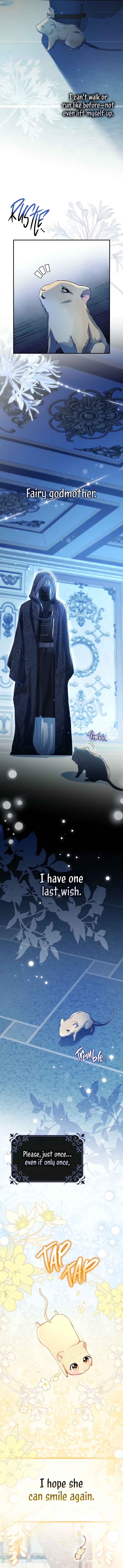Cinderella's Pocket-Sized Protector Chapter 1 - Page 5