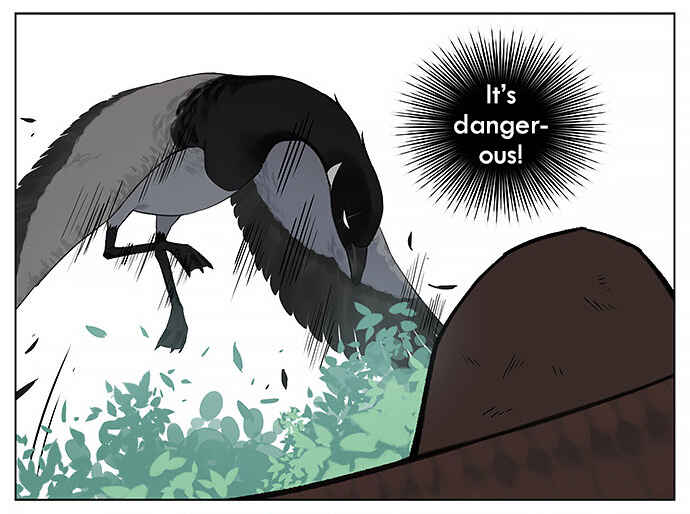Southern Bird and Northern Bird Chapter 34 - Page 3