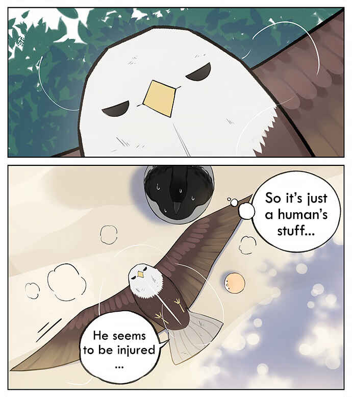 Southern Bird and Northern Bird Chapter 34 - Page 4