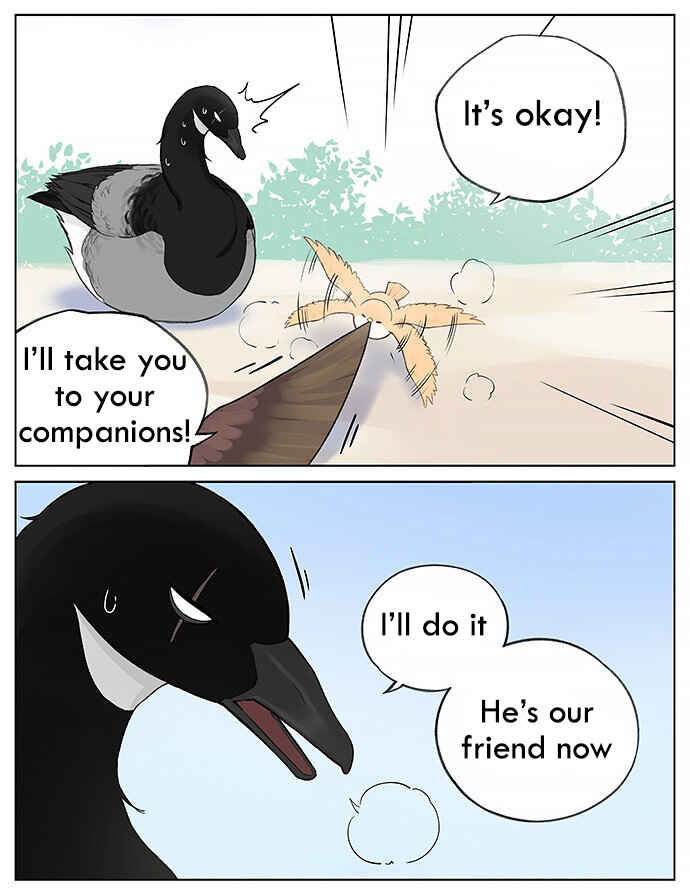 Southern Bird and Northern Bird Chapter 34 - Page 7