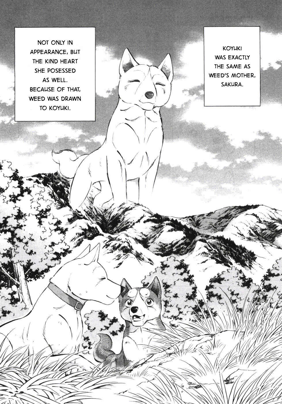 Ginga Densetsu Weed Chapter 335 - Page 12
