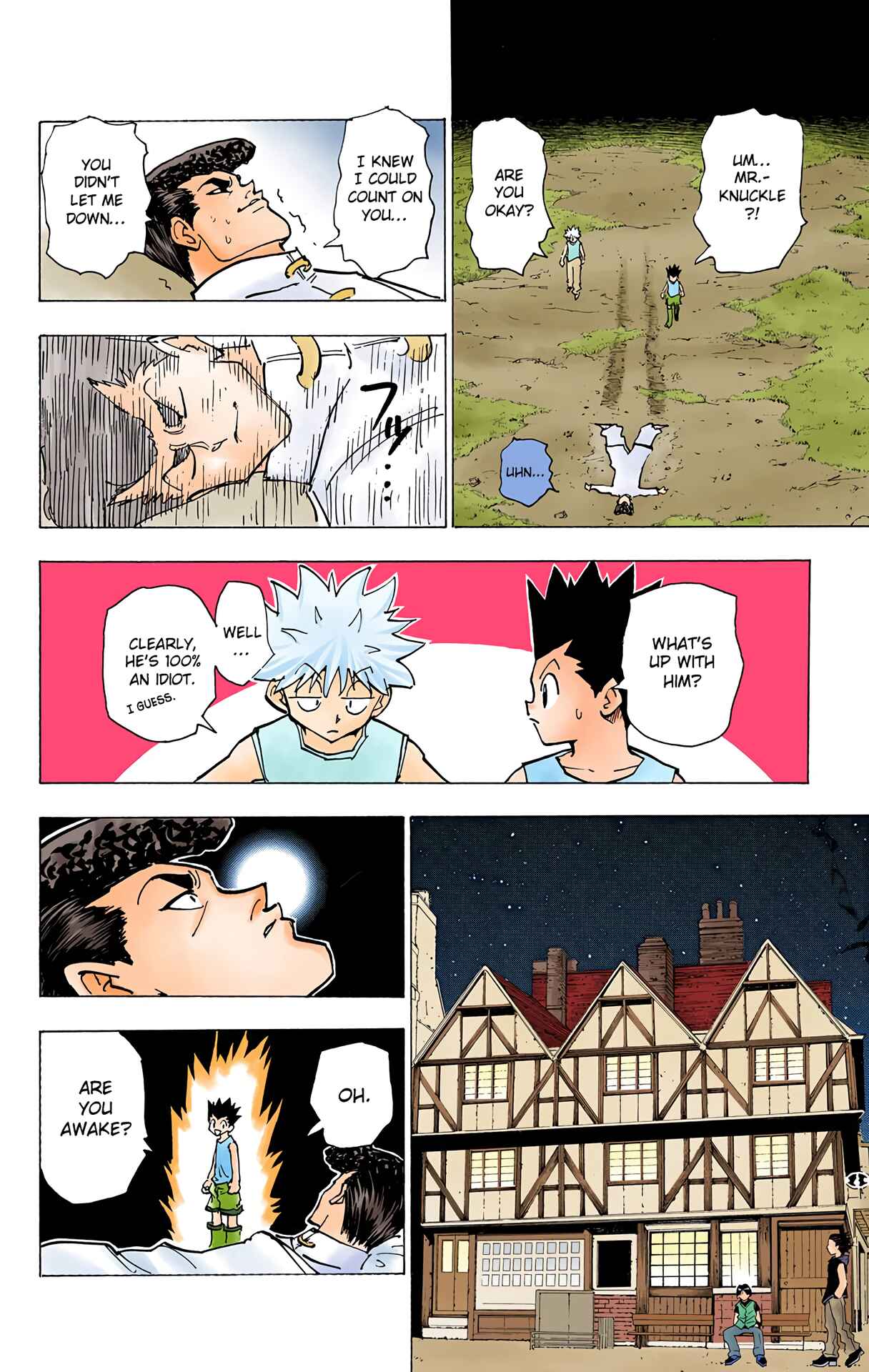 Hunter x Hunter (Official Colored) Chapter 203 - Page 9