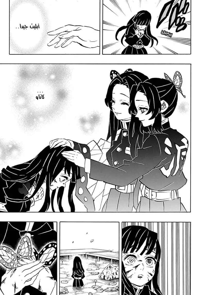 Demon Slayer: Kimetsu no Yaiba Chapter 163 - Page 17