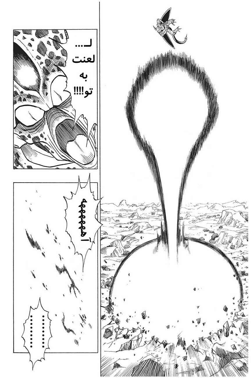 Dragon Ball Chapter 420 - Page 14