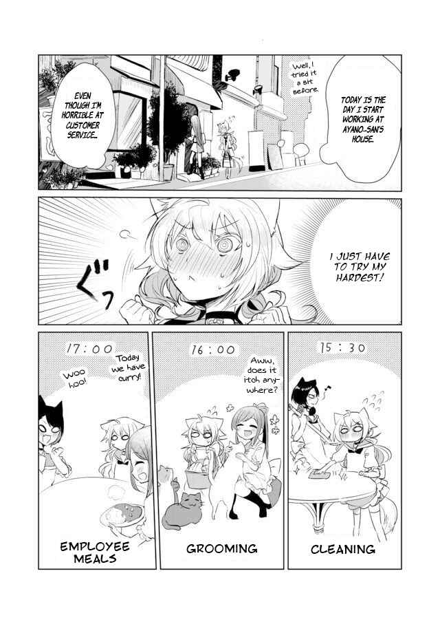 Catulus Syndrome Chapter 9 - Page 2