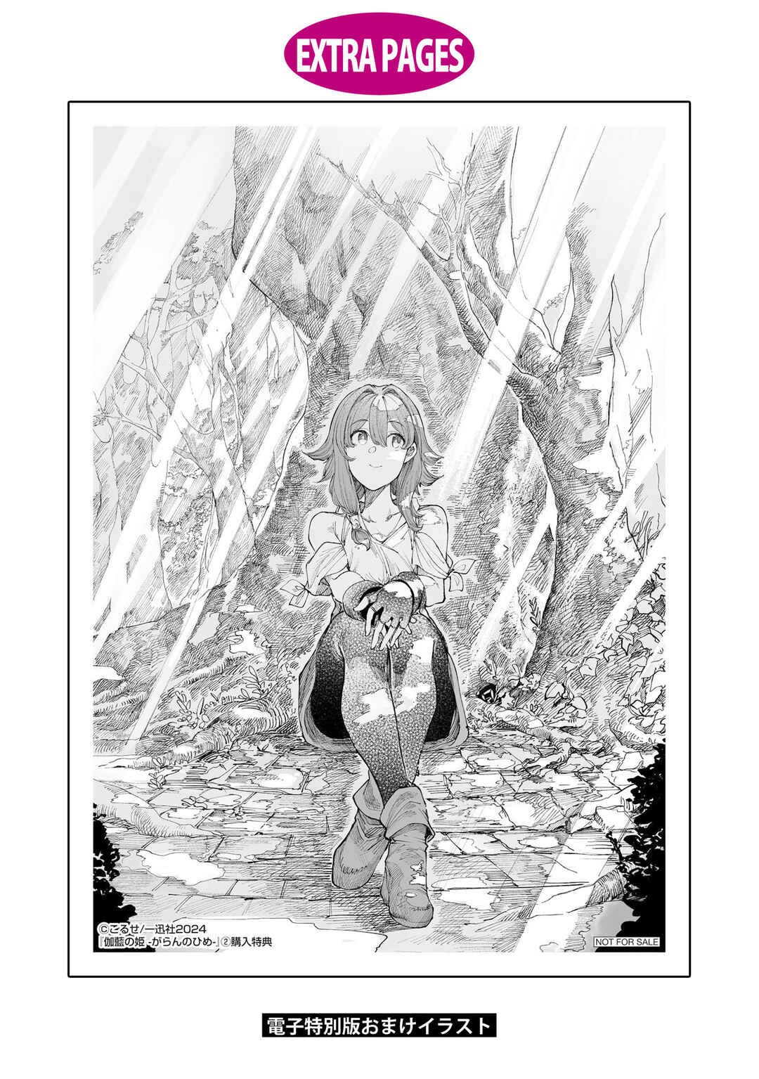 Garan no Hime Chapter 13.5 - Page 14