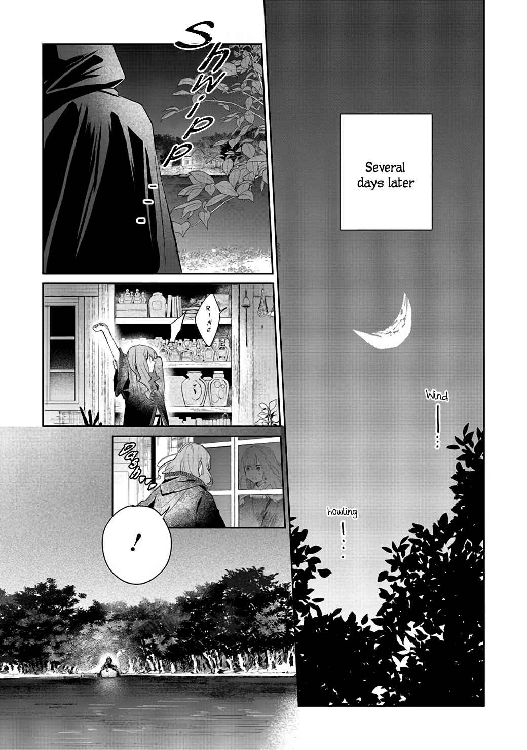 Doumo, Suki na hito ni Horegusuri wo Iraisareta Majo desu Chapter 3 - Page 17