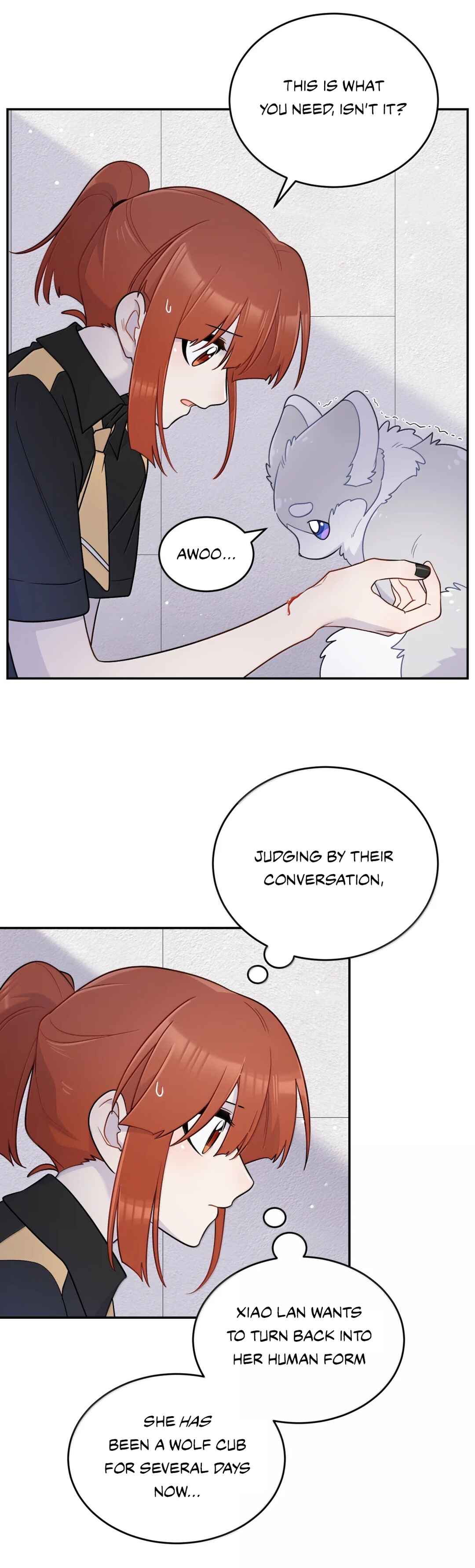 Wǒ de shíwù kàn qǐlái hěn kě'ài' Chapter 203 - Page 17
