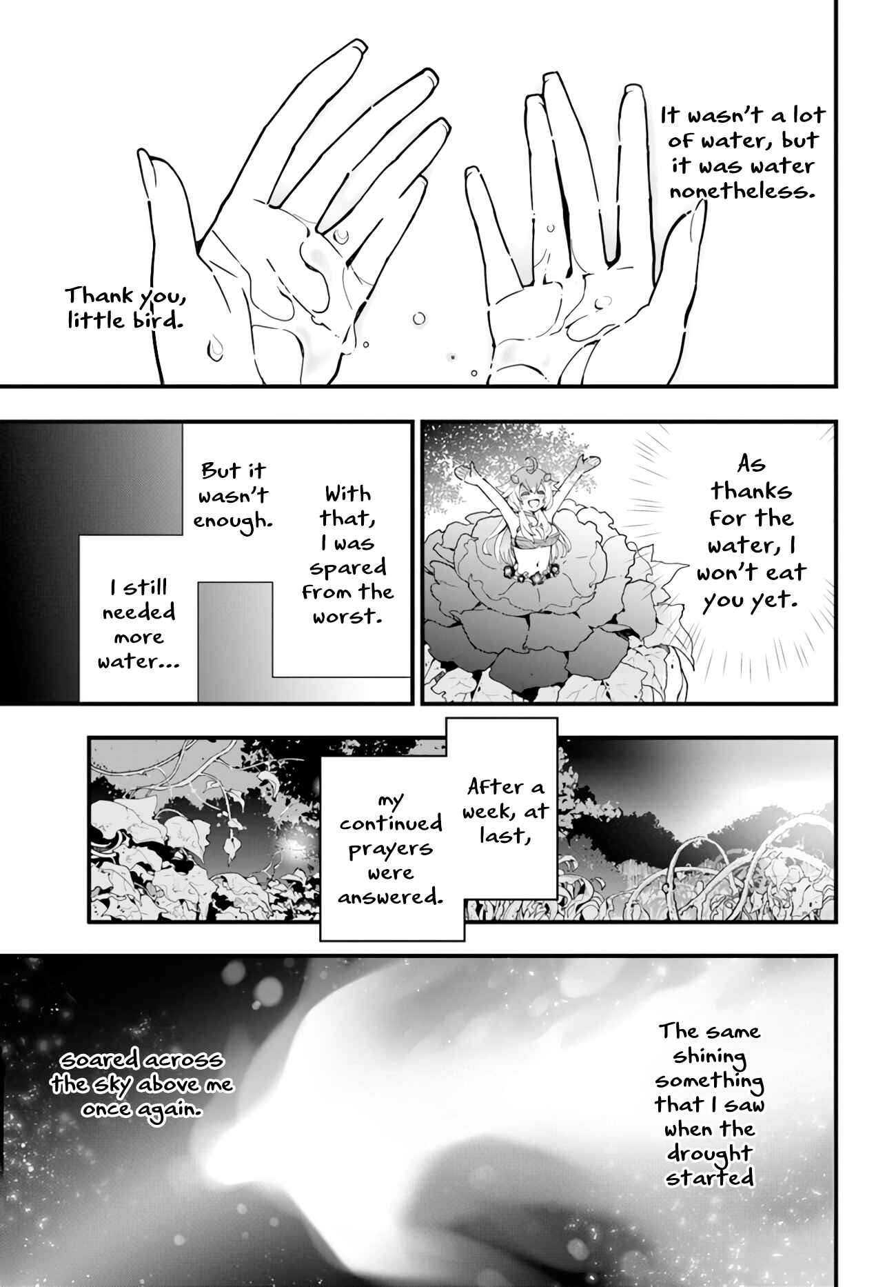 Shokubutsu Monster Musume Nikki: Seijo datta Watashi ga Uragirareta Hate ni Alraune ni Tensei Shite Shimatta node, kore kara wa Kougousei o Shinagara Shizuka ni Shokubutsu Life o Sugoshimasu Chapter 3 - Page 18