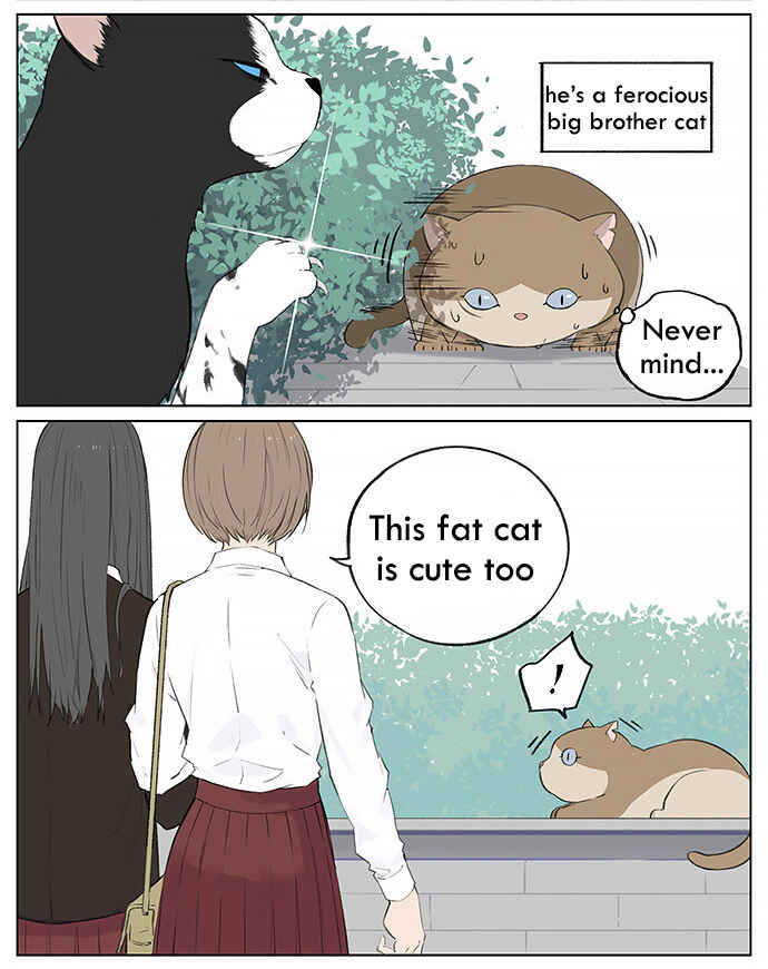 Southern Bird and Northern Bird Chapter 26 - Page 3