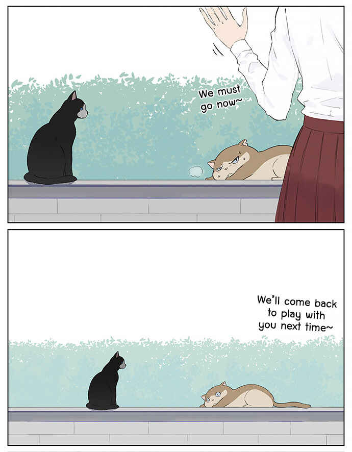 Southern Bird and Northern Bird Chapter 26 - Page 6