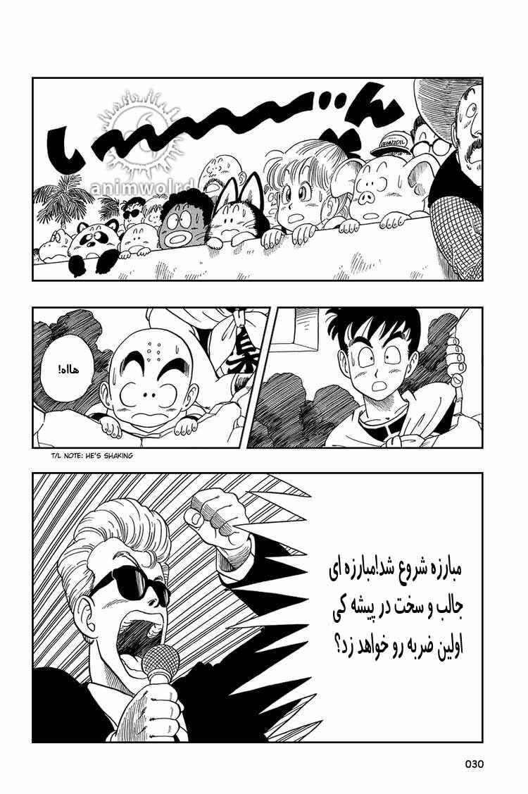 Dragon Ball Chapter 46 - Page 13