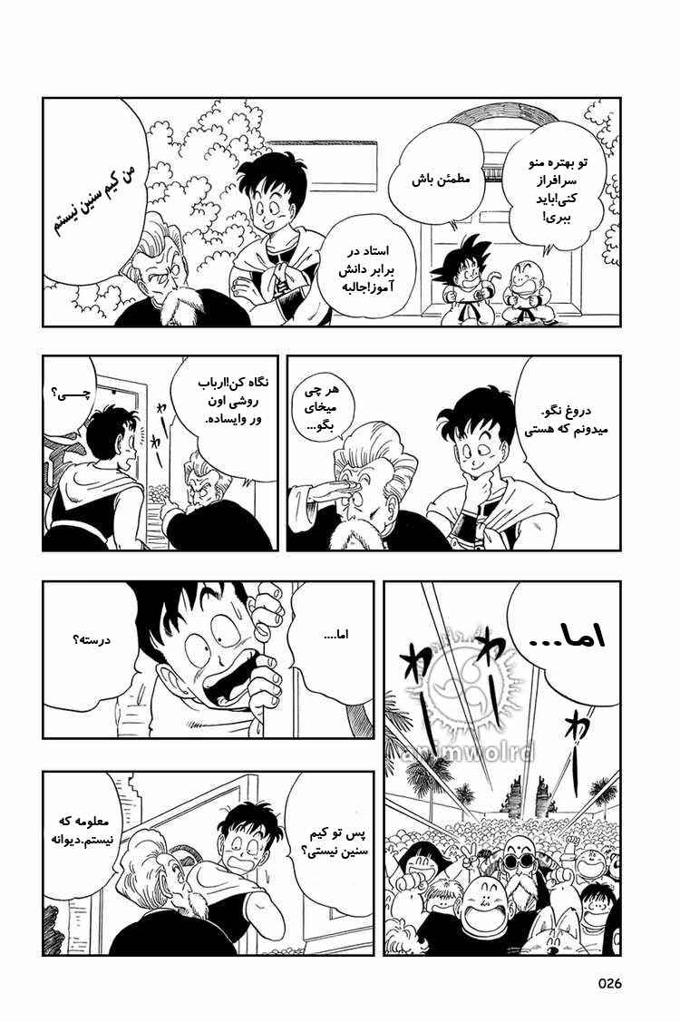 Dragon Ball Chapter 46 - Page 9