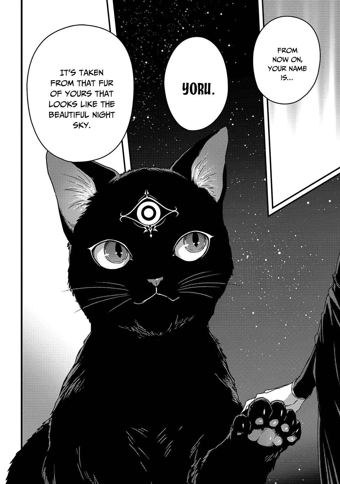 Ansatsusha de Aru Ore no Status ga Yuusha yori mo Akiraka ni Tsuyoi no da ga Chapter 11 - Page 21