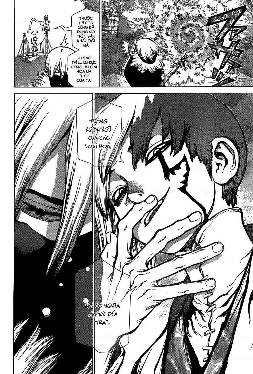 Dr.STONE Chapter 48 - Page 19