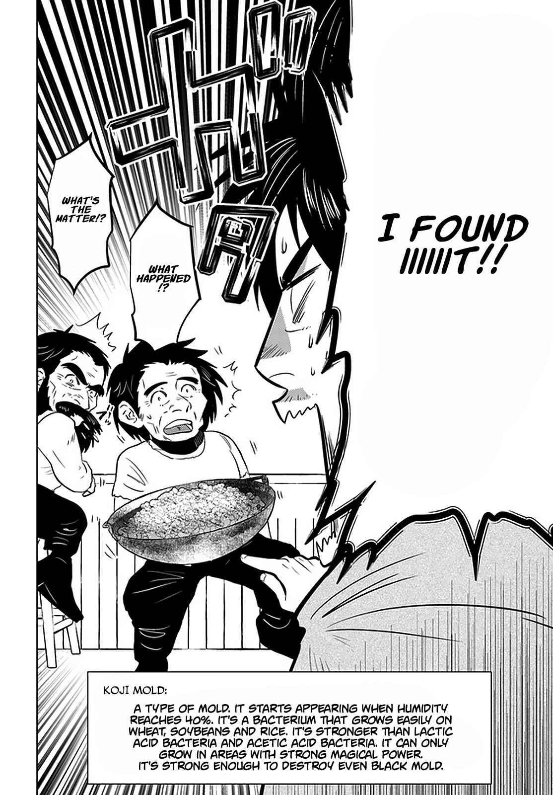 Arafoo Kenja no Isekai Seikatsu Nikki Chapter 30 - Page 21