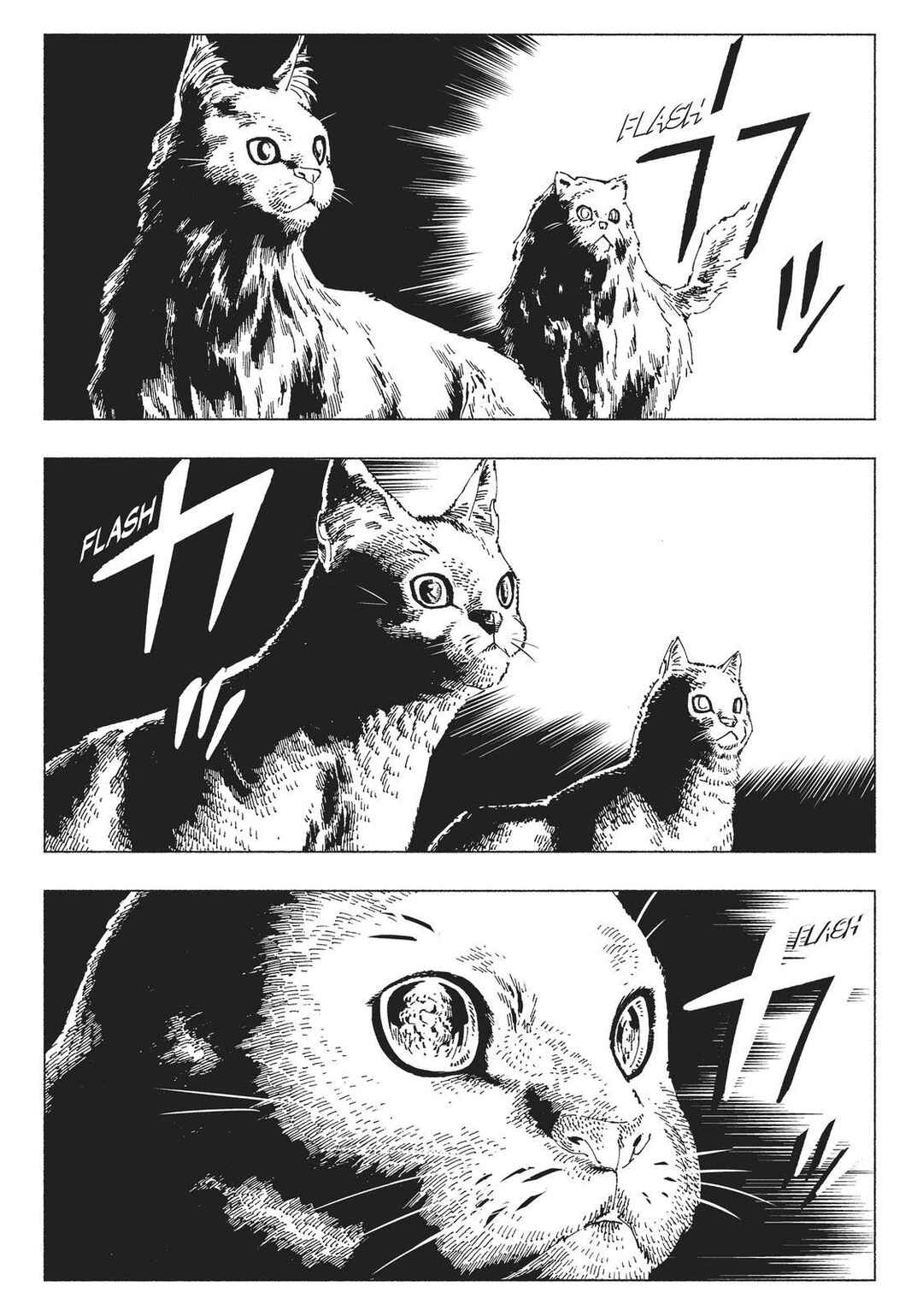 Nyaight of the Living Cat Chapter 5 - Page 55