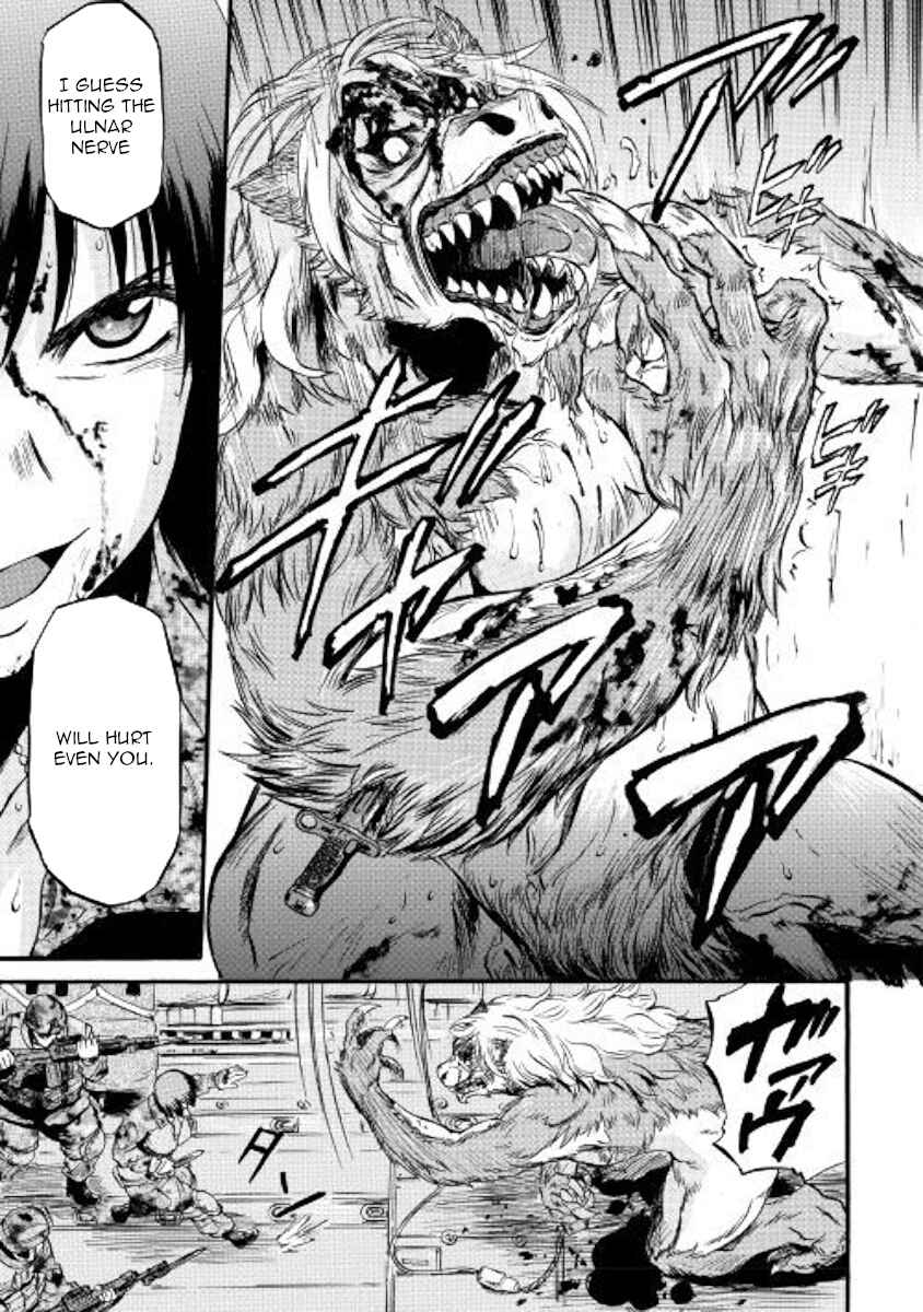 GATE - Jieitai Kanochi nite, Kaku Tatakaeri Chapter 89 - Page 17